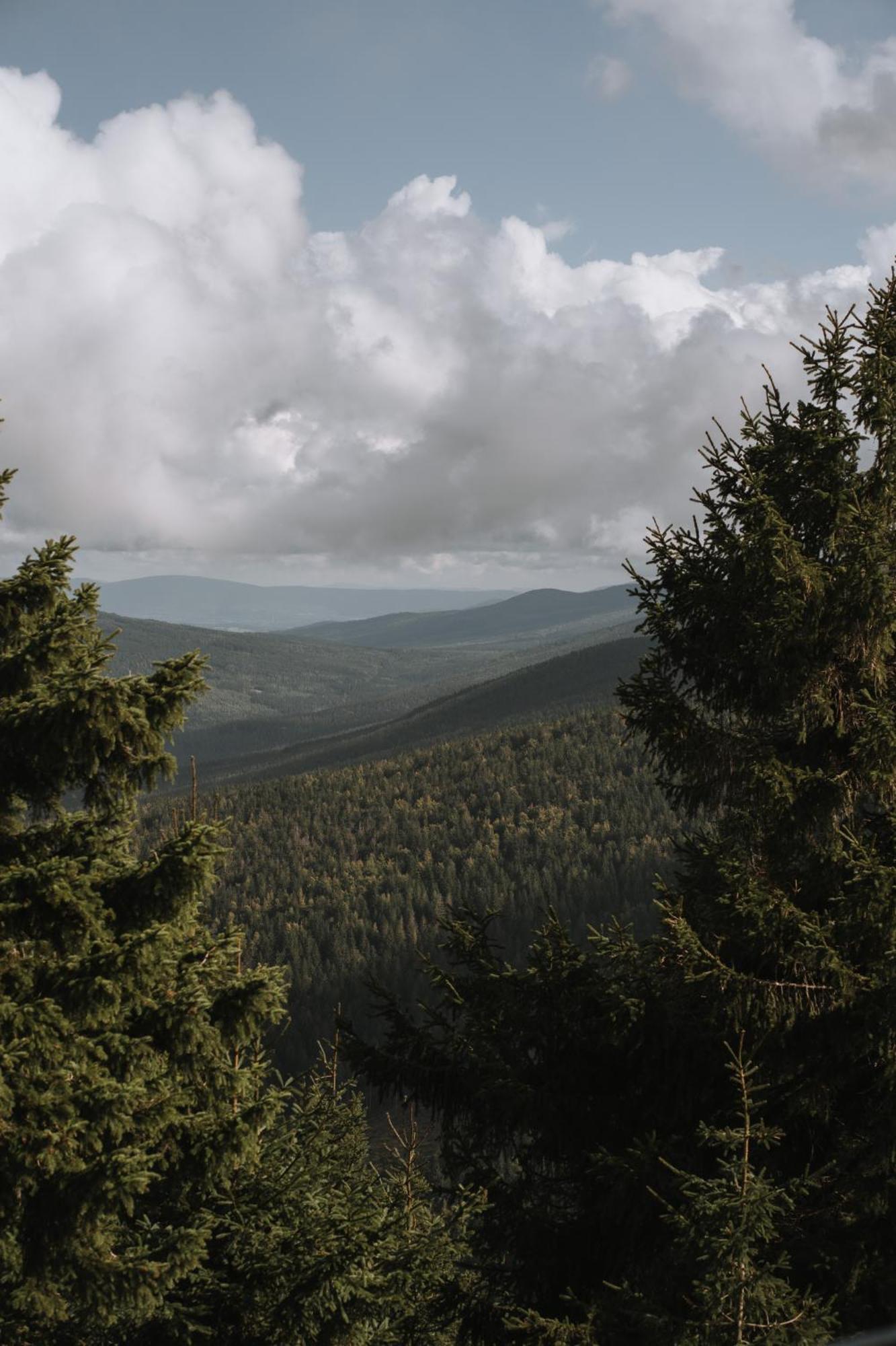Forest Park Resort & Spa Świeradów-Zdrój Dış mekan fotoğraf