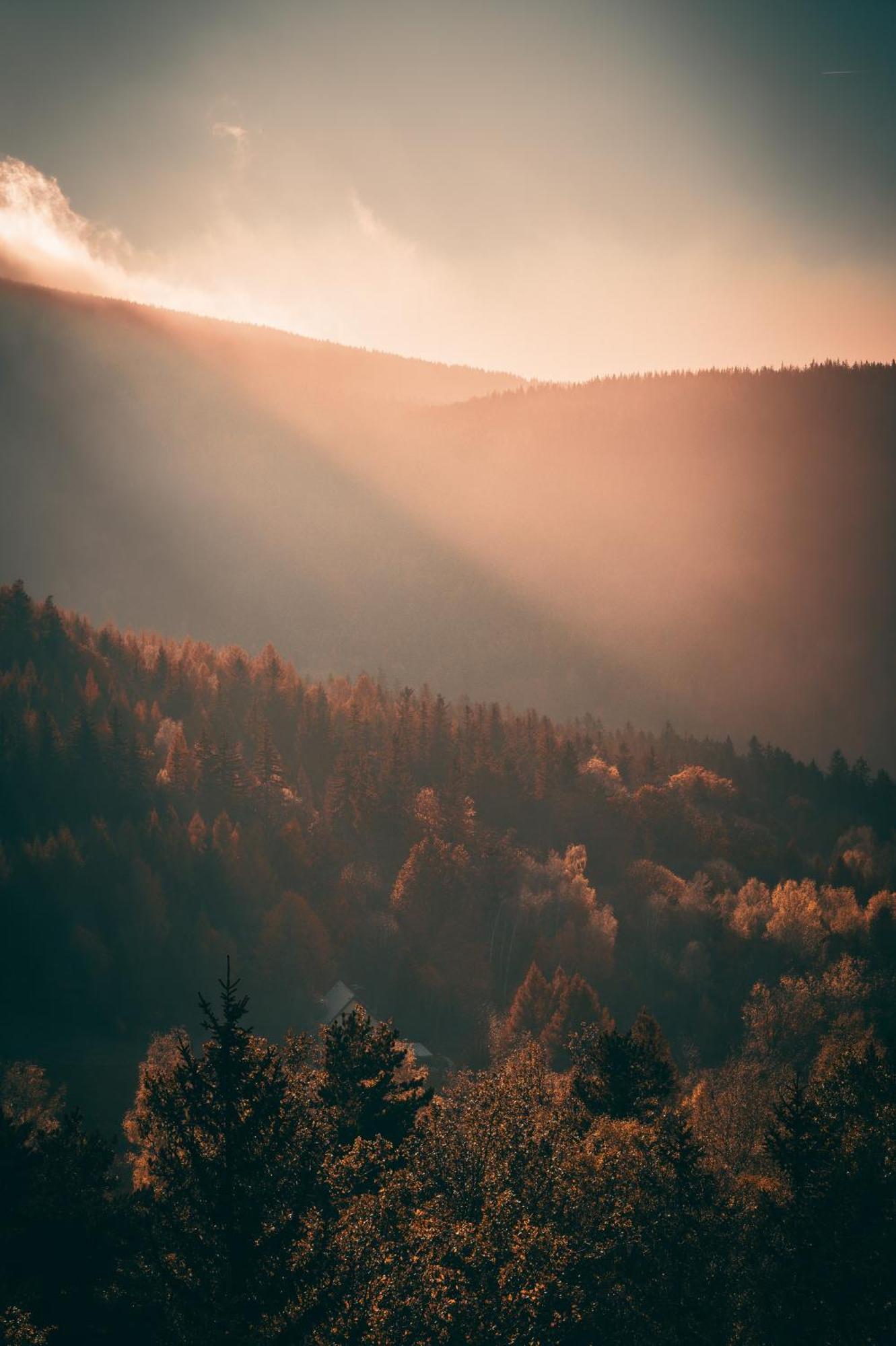 Forest Park Resort & Spa Świeradów-Zdrój Dış mekan fotoğraf