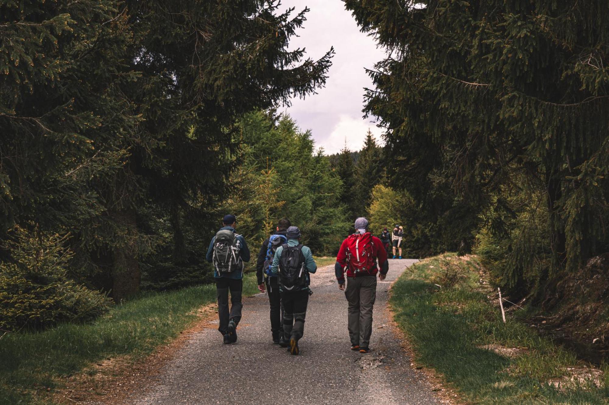 Forest Park Resort & Spa Świeradów-Zdrój Dış mekan fotoğraf
